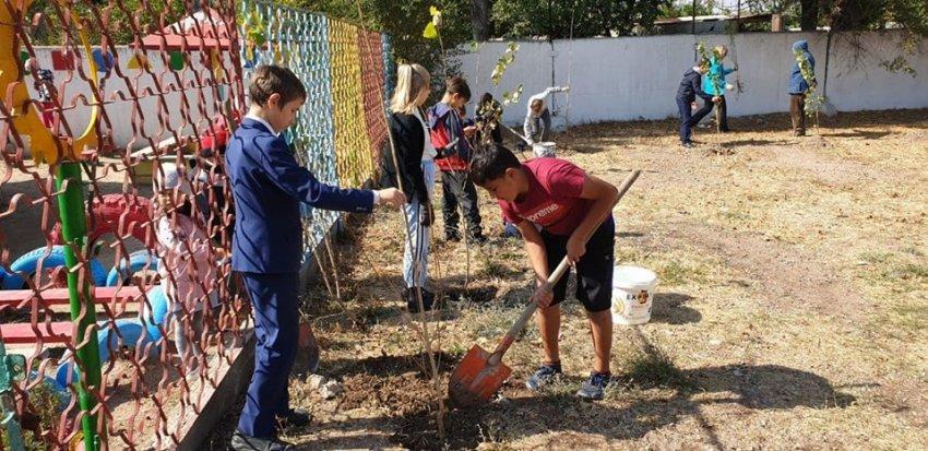Акция "Моё семейное дерево" , наши ученики посадили 20 деревьев😊