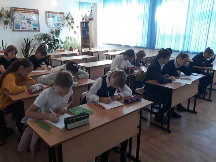 Школьные предметные олимпиады
