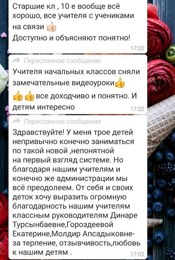 Отзывы родителей о дистанционном обучении😊